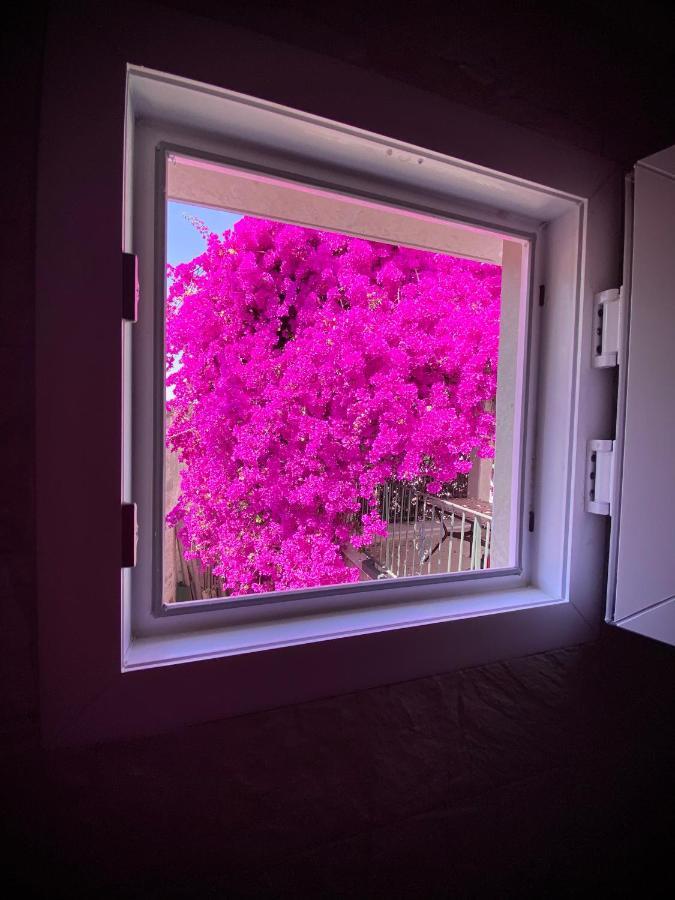 מסאפרה Le Dimore In Piazzetta מראה חיצוני תמונה