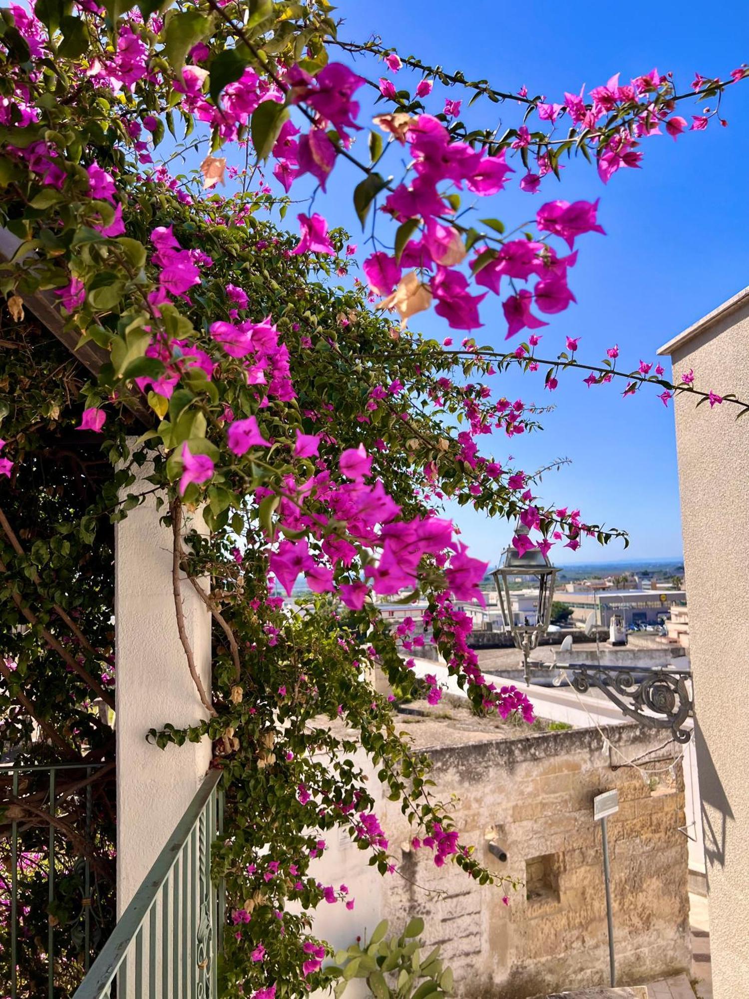 מסאפרה Le Dimore In Piazzetta מראה חיצוני תמונה